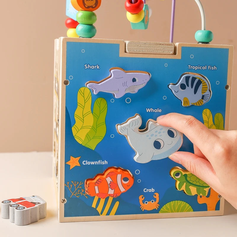 Wooden Activity Cube